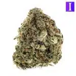 Pablo's Mint A - Indica