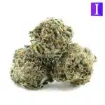 Pablo's Mint A - Indica - Image 2