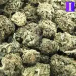 Pablo's Mint A - Indica - Image 3