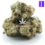 Wholesale - Peach Cream Gelato - AAAA - Image 3