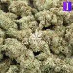 Wholesale - Peach Cream Gelato - AAAA