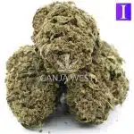 Pearly Girl AA - Indica - Image 2