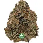 Pink Bubba AAA - Indica