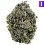 Pink Death Star Craft - Indica