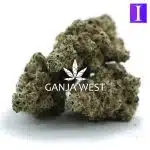 Platinum Dawg AAAA - Indica - Image 2