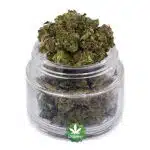 Garlic Breath AA Popcorn - Indica