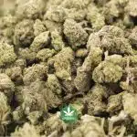 Sticky Buns AA Popcorn - Hybrid - Image 2