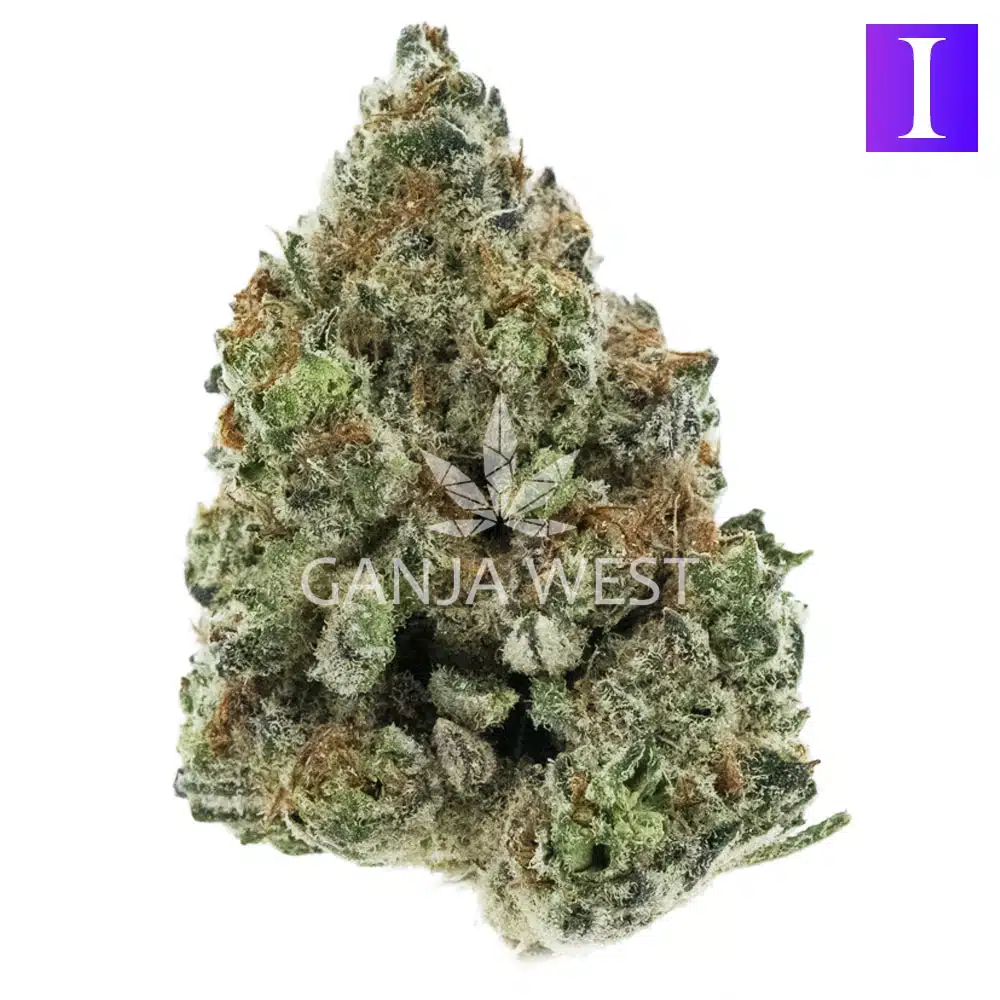 Wholesale Pure Michigan Craft Ganja West Online Dispensary