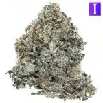 Purple Ghost AA - Indica