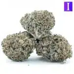 Purple Ghost AA - Indica - Image 2