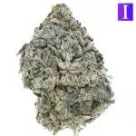 Purple Kush AA - Indica