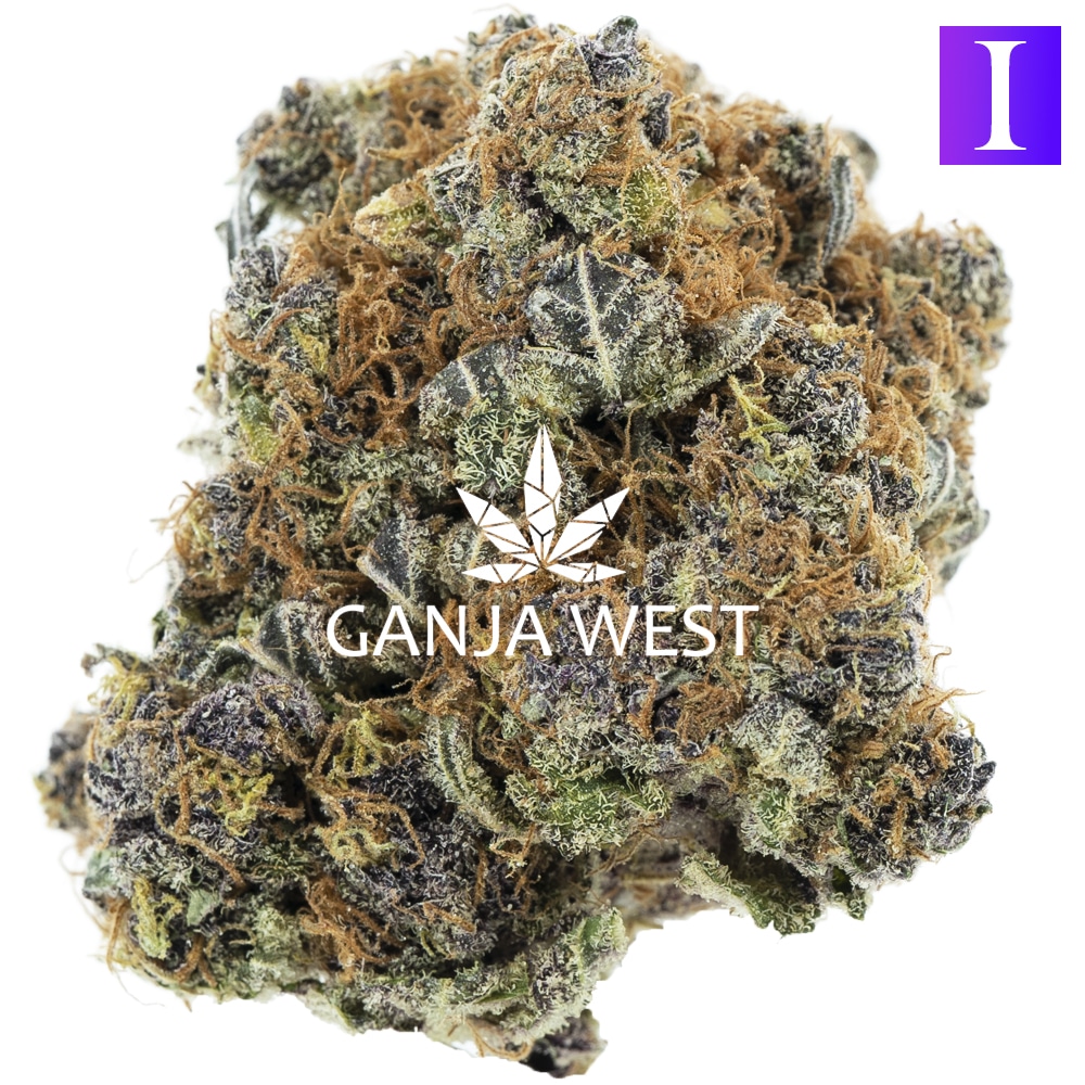 buy-weed-online-dispensary-ganja-west-purple-panty-dropper-craft-nug-1.jpg