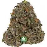 Purple Space Cookies AAA - Indica