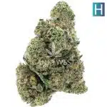 Purple Trainwreck Craft - Hybrid