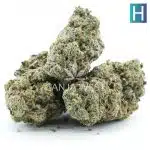 Purple Trainwreck Craft - Hybrid - Image 2
