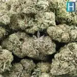 Purple Trainwreck Craft - Hybrid - Image 3