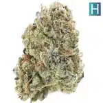 Rainbow Runtz AAAA - Hybrid