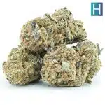 Rainbow Runtz AAAA - Hybrid - Image 2