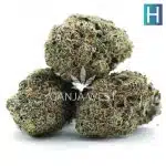 Wholesale - Sapphire Scout - AAA - Image 3