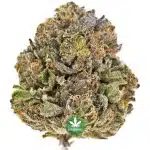 Solar Power AAAA - Hybrid