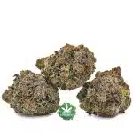 Solar Power AAAA - Hybrid - Image 2