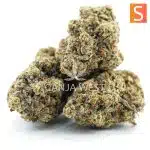 Sour Patch Kiss AAAA - Sativa - Image 2