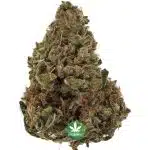 Super Mario A - Hybrid