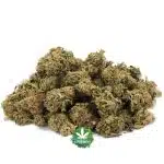 Super Mario A - Hybrid - Image 2