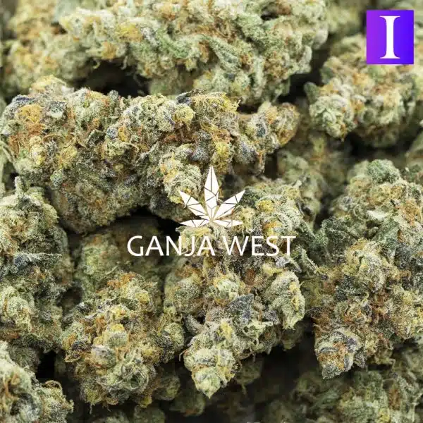 Super Skywalker AA - Indica - Ganja West Online Dispensary In Canada