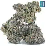 Tally Mon AAAA - Hybrid - Image 2