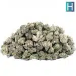 Tally Mon AAAA - Hybrid - Image 3