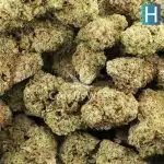 Tropical Glue AAA - Hybrid - Image 3