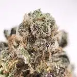Goji OG AAAA - Image 3