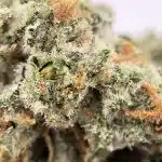 Cali Trainwreck AAAA - Image 3