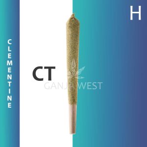 Caviar Joint - Clementine - Hybrid