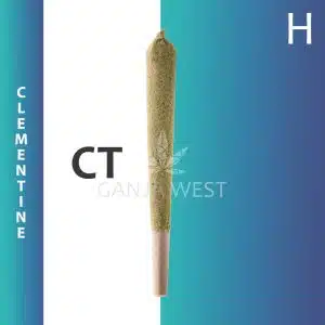 Caviar Joint - Clementine - Hybrid