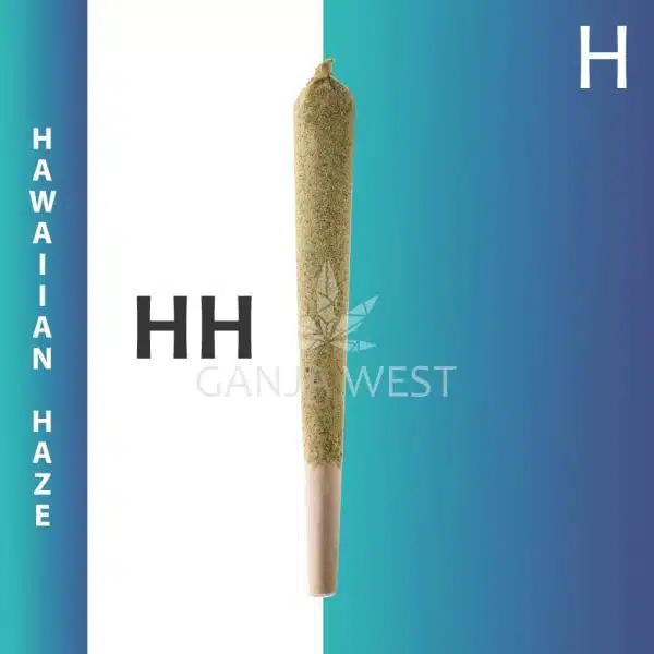 Caviar Joint - Hawaiian Haze - Hybrid
