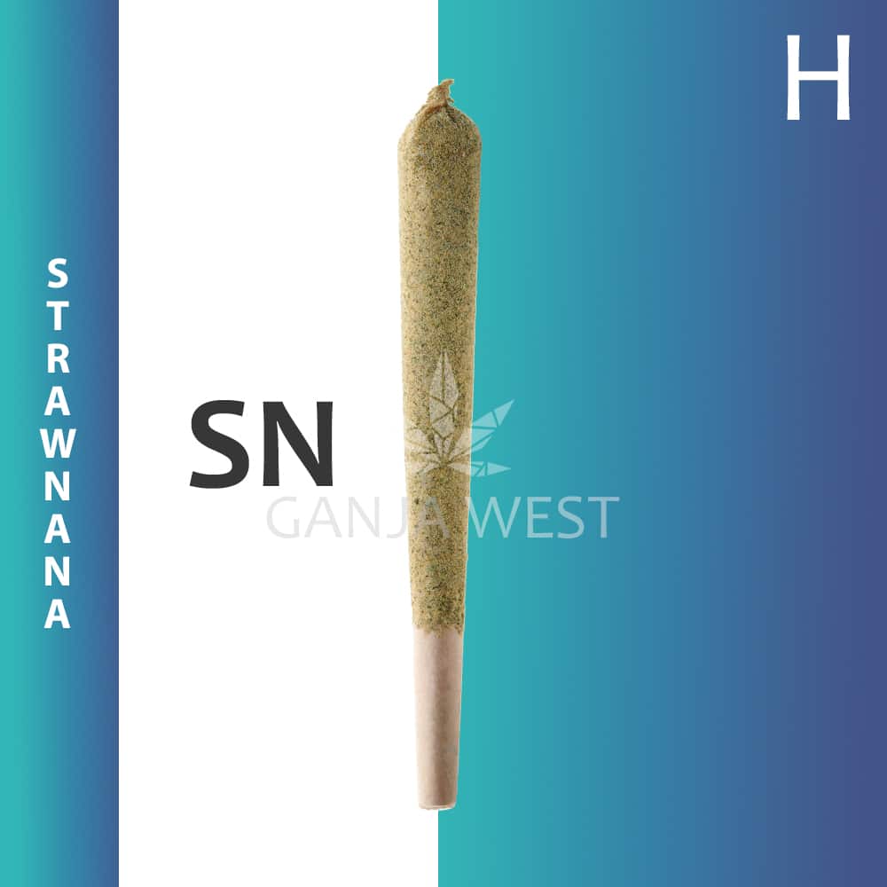 buy-weed-online-dispensary-ganjawest-concentrates-pre-rolled-caviar-joints-moonrock-hybrid-strawnana-1.jpg