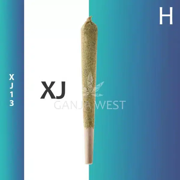 Caviar Joint - XJ13 - Hybrid