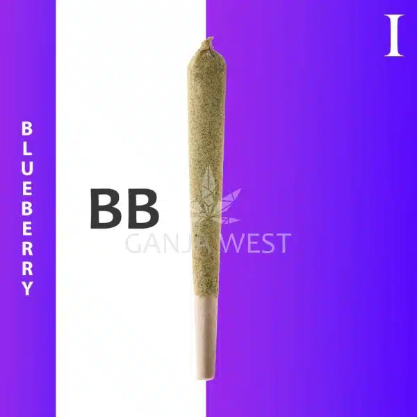 Caviar Joint - Blueberry