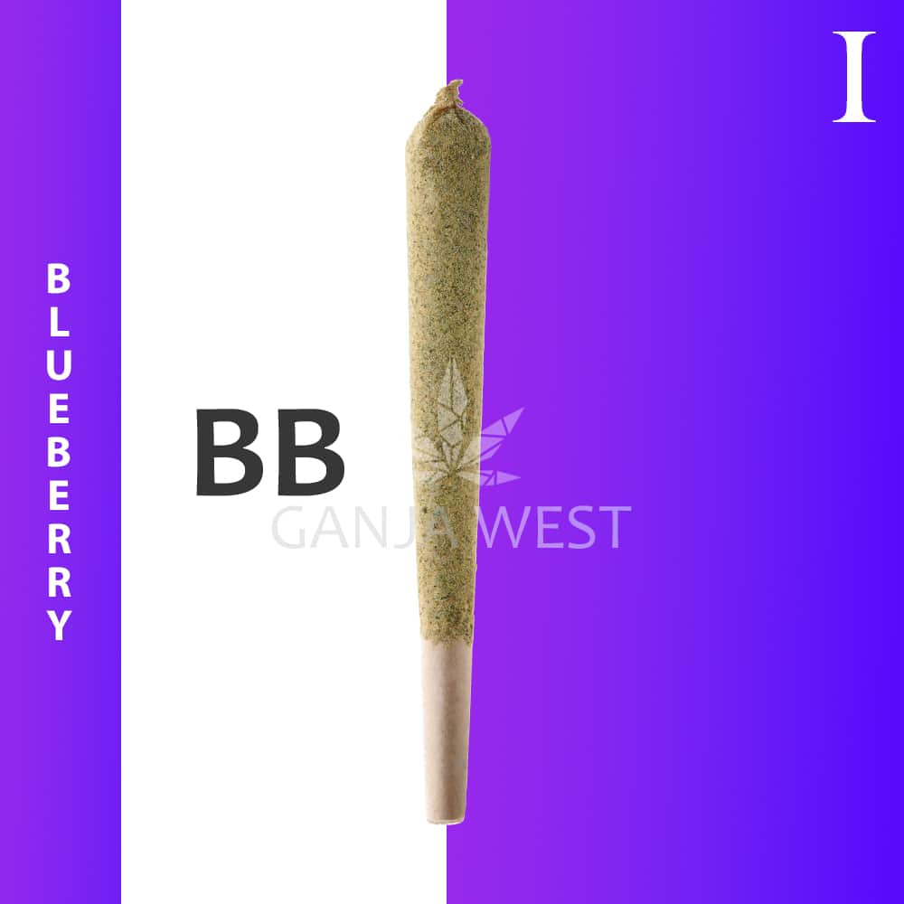 buy-weed-online-dispensary-ganjawest-concentrates-pre-rolled-caviar-joints-moonrock-indica-blueberry-1.jpg