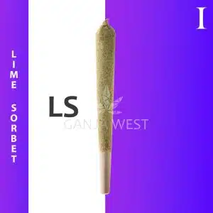 Caviar Joint - Lime Sorbet - Indica