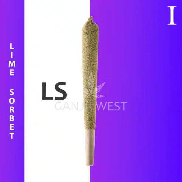 Caviar Joint - Lime Sorbet - Indica