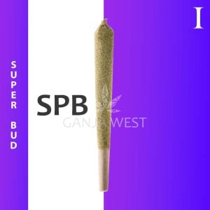 Caviar Joint - Super Bud - Indica