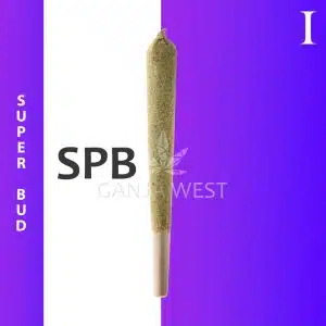 Caviar Joint - Super Bud - Indica