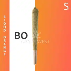 Caviar Joint - Blood Orange - Sativa