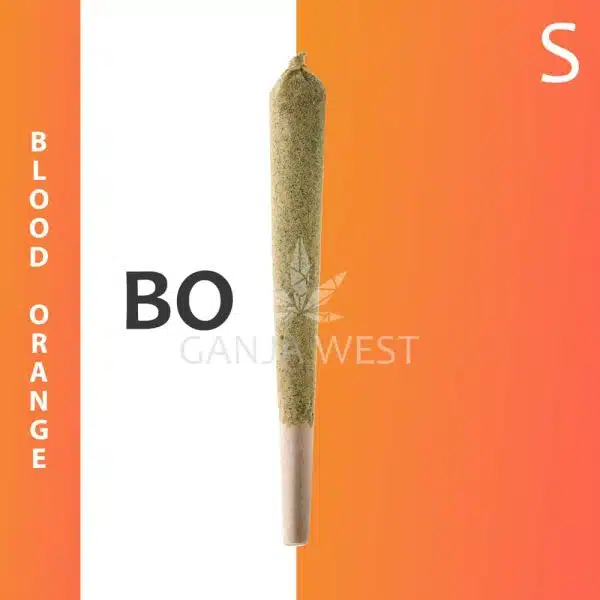 Caviar Joint - Blood Orange - Sativa