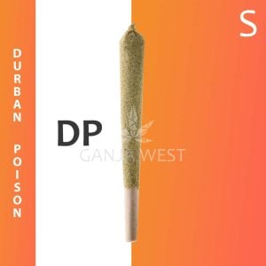 Caviar Joint - Durban Poison - Sativa