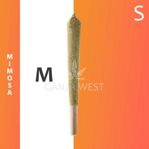 Caviar Joint - Mimosa - Sativa