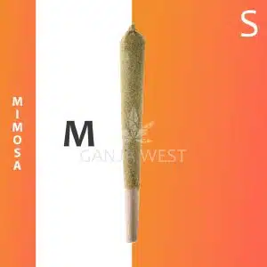 Caviar Joint - Mimosa - Sativa